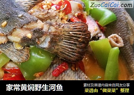 家常黄焖野生河鱼