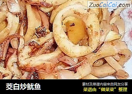 茭白炒鱿鱼