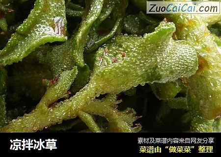凉拌冰草