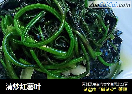 清炒红薯叶