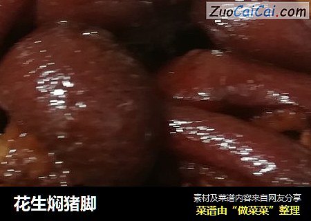花生焖猪脚
