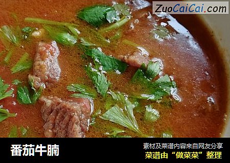番茄牛腩