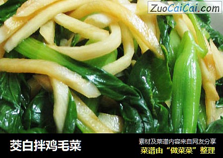 茭白拌鸡毛菜