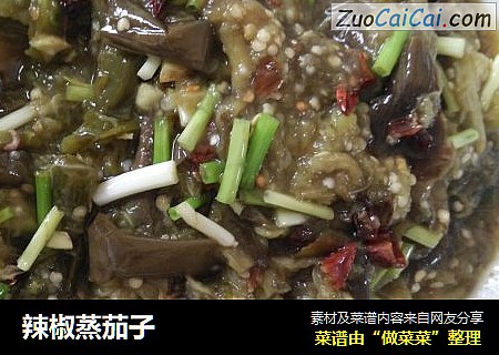 辣椒蒸茄子