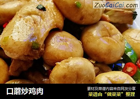 口蘑炒鸡肉