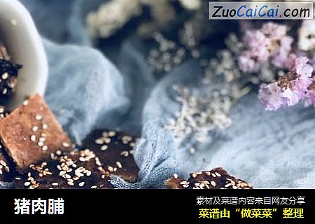 猪肉脯
