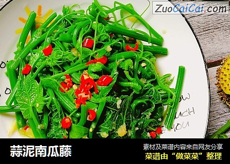 蒜泥南瓜藤