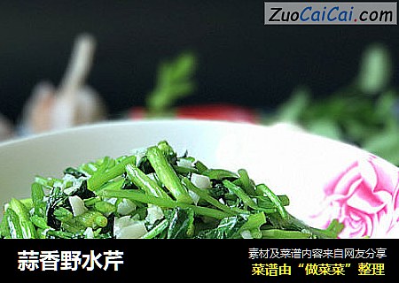 蒜香野水芹