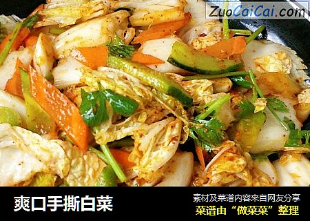 爽口手撕白菜