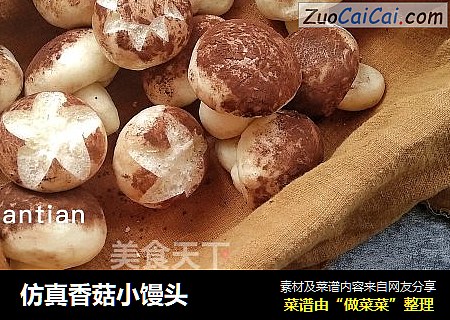 仿真香菇小馒头