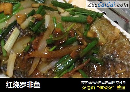 红烧罗非鱼