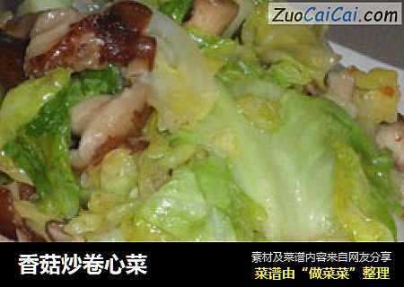 香菇炒卷心菜