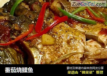 番茄烧鲤鱼