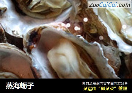 蒸海蛎子