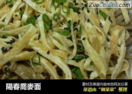 陽春喬麥面