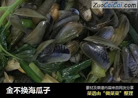 金不换海瓜子