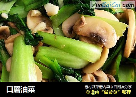 口蘑油菜