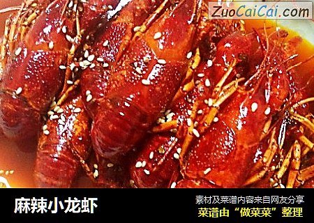 麻辣小龙虾