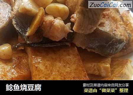鲶鱼烧豆腐