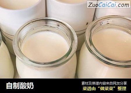 自制酸奶