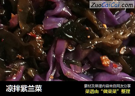凉拌紫兰菜