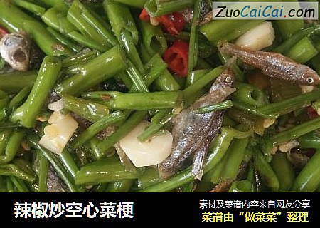 辣椒炒空心菜梗