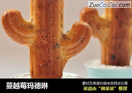 蔓越莓玛德琳