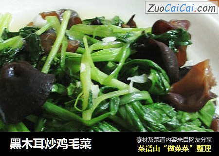 黑木耳炒鸡毛菜