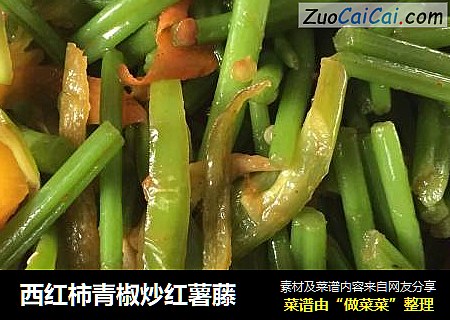 西红柿青椒炒红薯藤