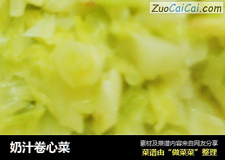 奶汁卷心菜