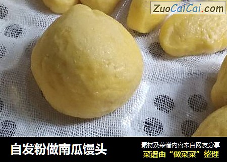 自发粉做南瓜馒头