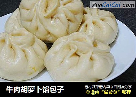 牛肉胡萝卜馅包子
