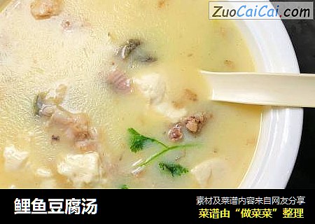 鲤鱼豆腐汤