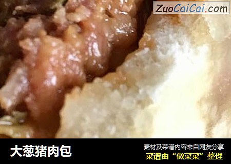 大葱猪肉包