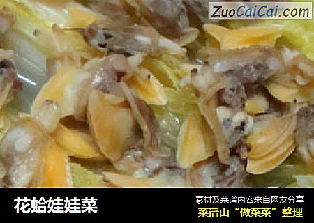 花蛤娃娃菜