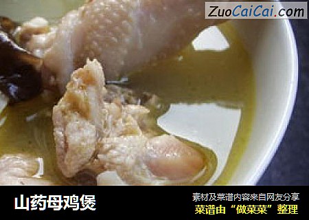 山药母鸡煲