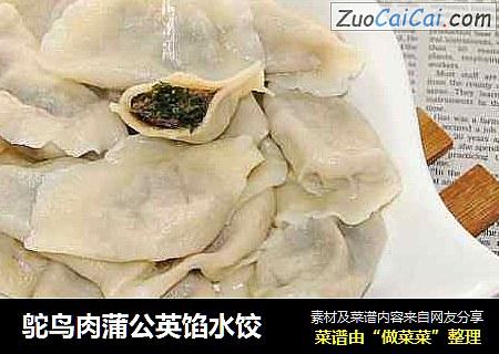 鸵鸟肉蒲公英馅水饺