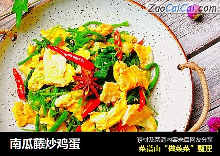南瓜藤炒鸡蛋