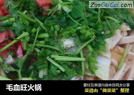 毛血旺火锅