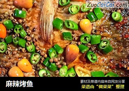 麻辣烤鱼