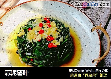 蒜泥薯叶