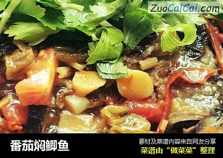 番茄焖鲫鱼