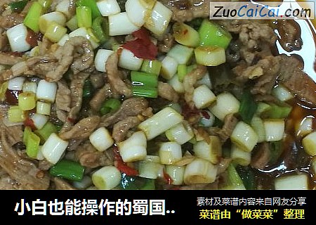 小白也能操作的蜀国大菜