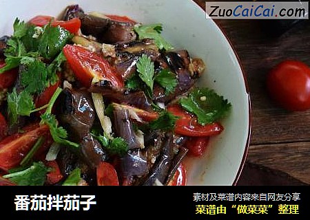 番茄拌茄子