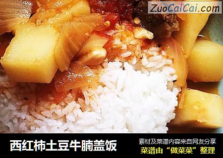 西红柿土豆牛腩盖饭