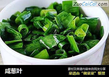 咸葱叶