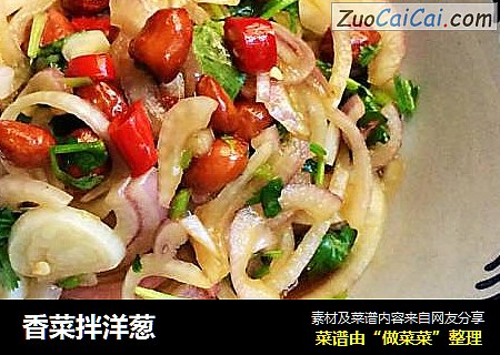 香菜拌洋葱