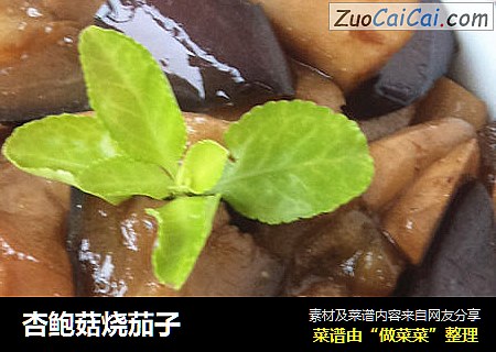 杏鲍菇烧茄子