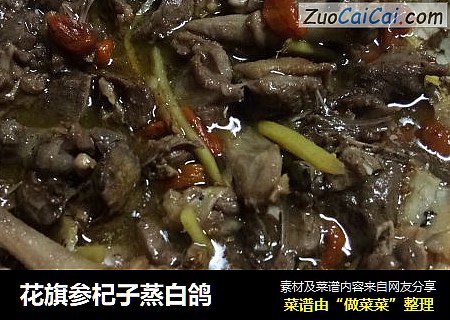 花旗参杞子蒸白鸽