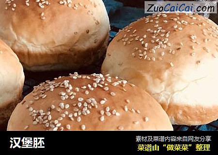 汉堡胚